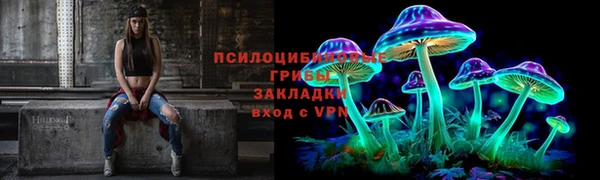 МДПВ Абинск