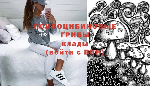 МДПВ Абинск