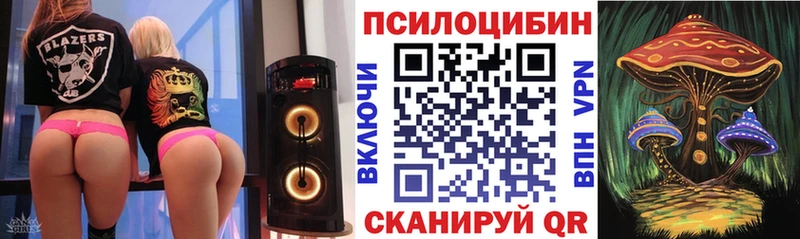 купить наркоту Щёкино Галлюциногенные грибы ЛСД